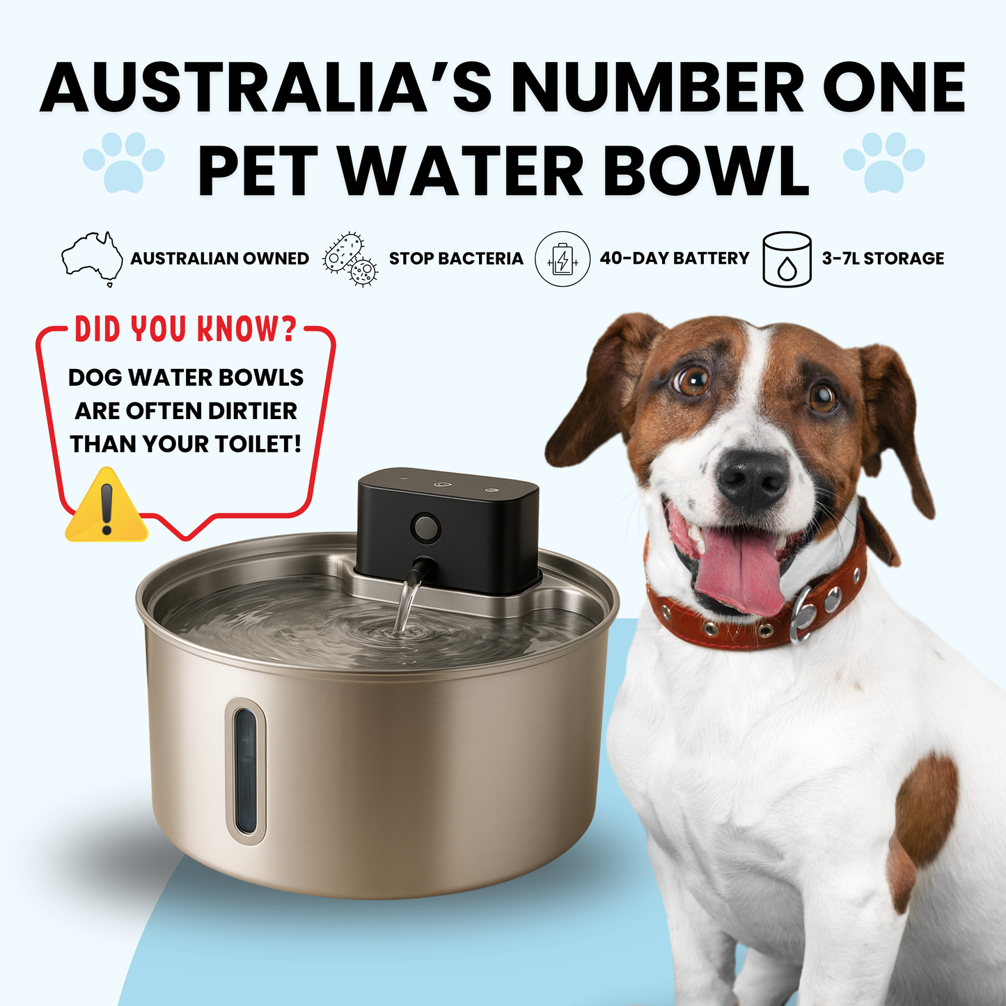 PurePup™ Water Bowl