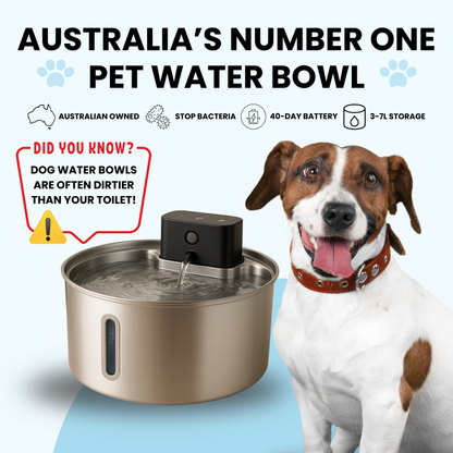 PurePup™ Water Bowl